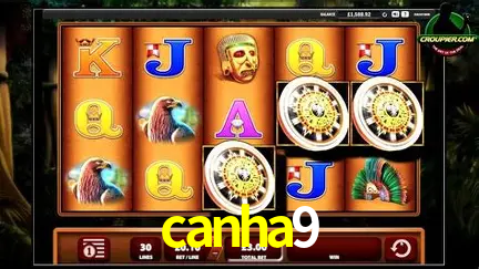 A Experiência Imersiva dos Cassinos Ao Vivo no canha9